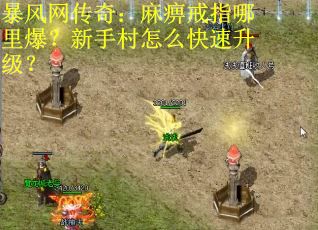 暴风网传奇：麻痹戒指哪里爆？新手村怎么快速升级？