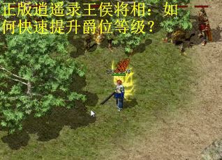 正版逍遥录王侯将相：如何快速提升爵位等级？