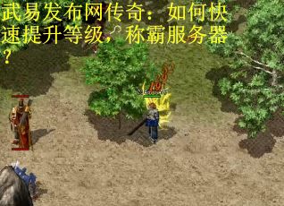 武易发布网传奇：如何快速提升等级，称霸服务器？