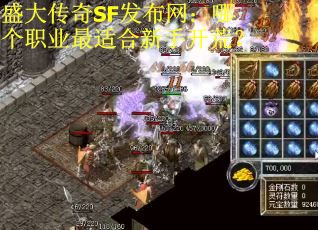 盛大传奇SF发布网：哪个职业最适合新手开荒？