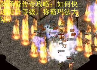 陈译贤传奇攻略：如何快速提升等级，称霸玛法大陆？