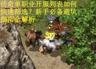 传奇单职业开服列表如何快速筛选？新手必备避坑指南全解析