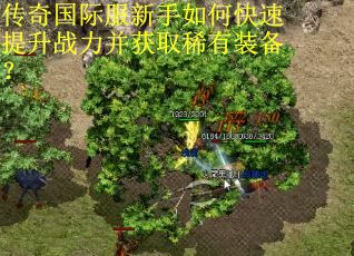 传奇国际服新手如何快速提升战力并获取稀有装备？