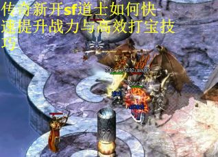 传奇新开sf道士如何快速提升战力与高效打宝技巧