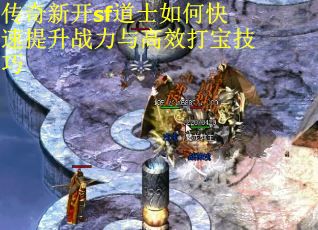 传奇新开sf道士如何快速提升战力与高效打宝技巧