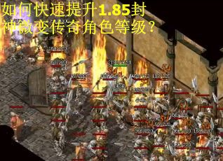 如何快速提升1.85封神微变传奇角色等级？