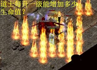 道士每升一级能增加多少生命值？