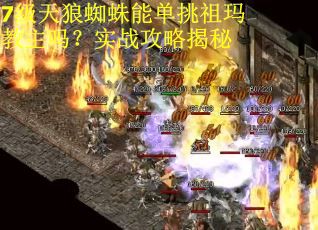 7级天狼蜘蛛能单挑祖玛教主吗?实战攻略揭秘 7级天狼蜘蛛能单挑祖玛教主吗?实战攻略揭秘