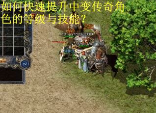 如何快速提升中变传奇角色的等级与技能? 如何快速提升中变传奇角色的等级与技能?