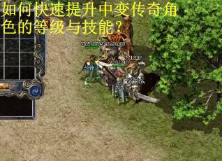 如何快速提升中变传奇角色的等级与技能? 如何快速提升中变传奇角色的等级与技能?