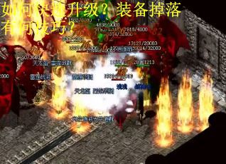 如何快速升级？装备掉落有何技巧？