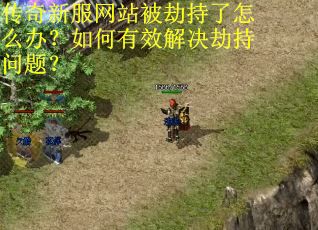 传奇新服网站被劫持了怎么办？如何有效解决劫持问题？