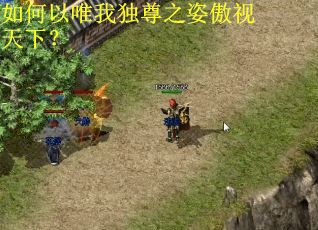 如何以唯我独尊之姿傲视天下? 如何以唯我独尊之姿傲视天下?