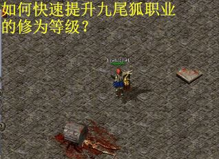 如何快速提升九尾狐职业的修为等级? 如何快速提升九尾狐职业的修为等级?