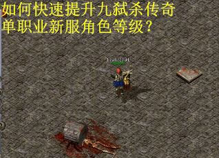 如何快速提升九弑杀传奇单职业新服角色等级？
