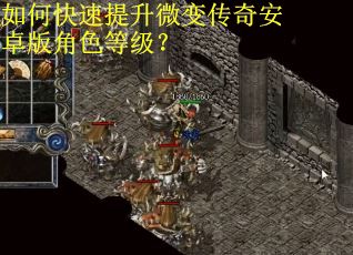 如何快速提升微变传奇安卓版角色等级？