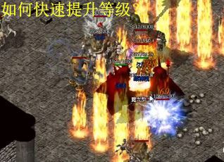 如何快速提升等级？