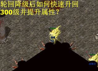 轮回降级后如何快速升回300级并提升属性？