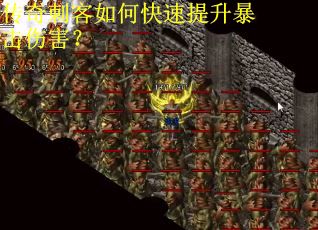 传奇刺客如何快速提升暴击伤害？