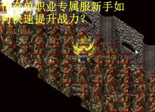 传奇单职业专属服新手如何快速提升战力？