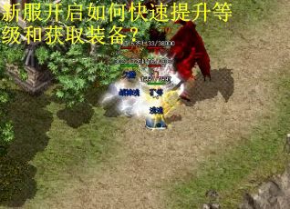 新服开启如何快速提升等级和获取装备？