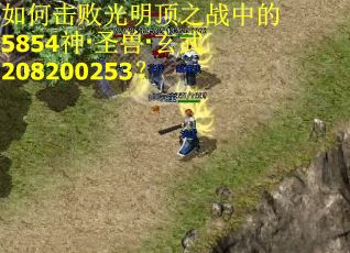 如何击败光明顶之战中的5854神·圣兽·玄武208200253？