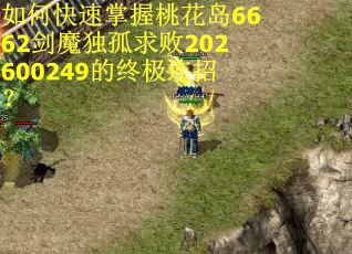 如何快速掌握桃花岛6662剑魔独孤求败202600249的终极连招？