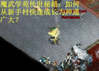 魔武学苑传世秘籍：如何从新手村快速成长为神通广大？