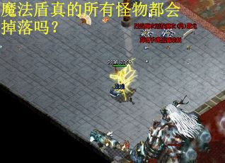 魔法盾真的所有怪物都会掉落吗？