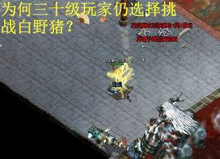 为何三十级玩家仍选择挑战白野猪？