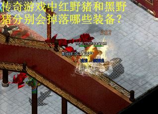 传奇游戏中红野猪和黑野猪分别会掉落哪些装备？