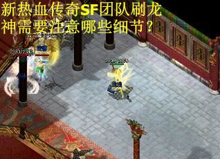 新热血传奇SF团队刷龙神需要注意哪些细节？