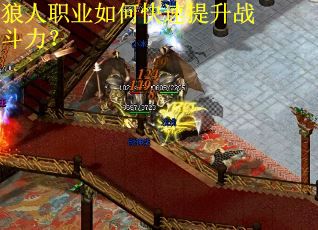 狼人职业如何快速提升战斗力？