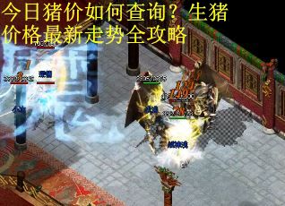 今日猪价如何查询？生猪价格最新走势全攻略