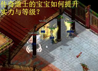 传奇道士的宝宝如何提升实力与等级？
