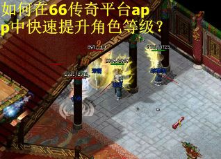 如何在66传奇平台app中快速提升角色等级？