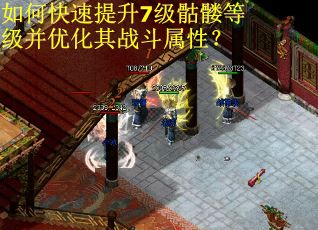 如何快速提升7级骷髅等级并优化其战斗属性？