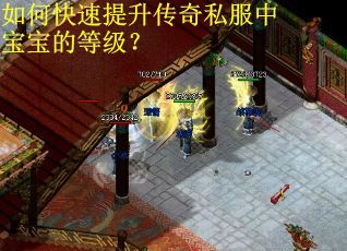 如何快速提升传奇私服中宝宝的等级？