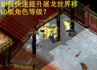 如何快速提升屠龙世界移动版角色等级？