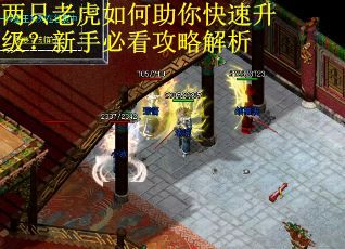 两只老虎如何助你快速升级？新手必看攻略解析